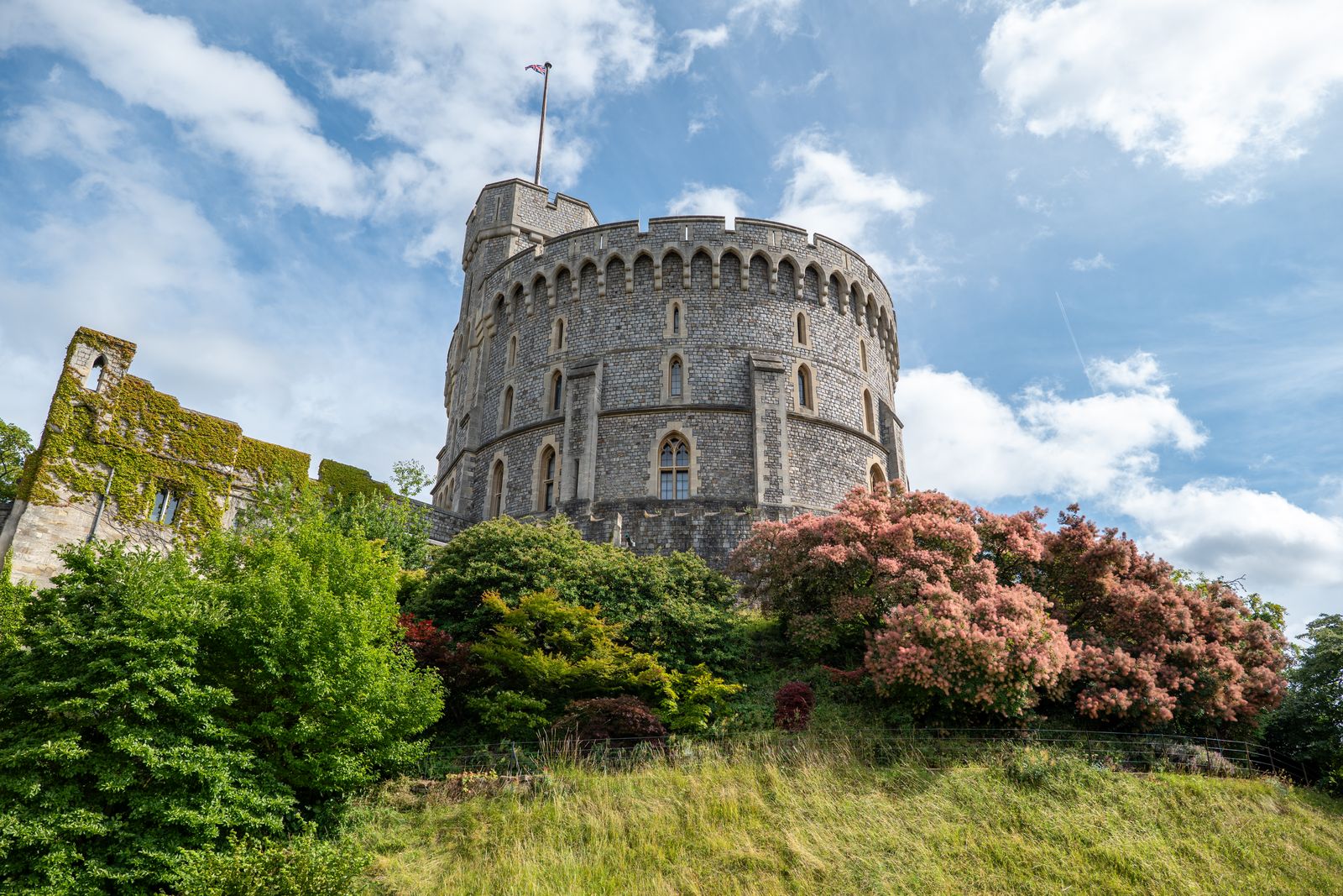 Windsor Castle surrounded by greenery under a clear sky